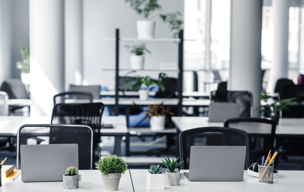 Plants in an office