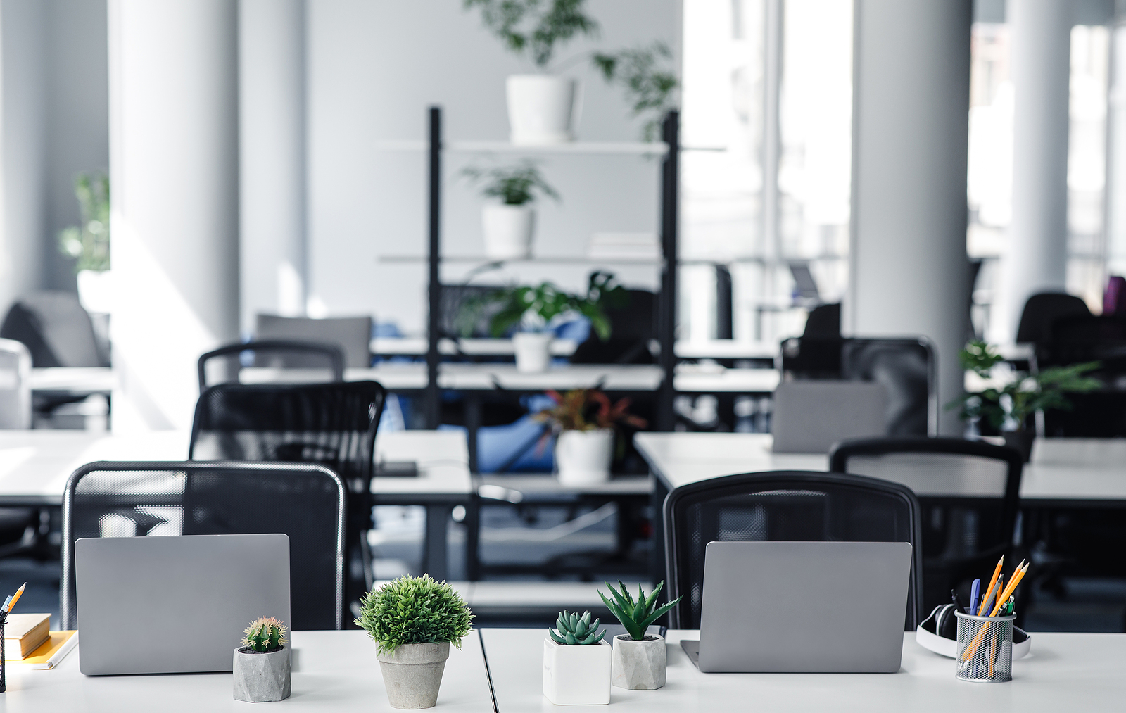 Plants in an office